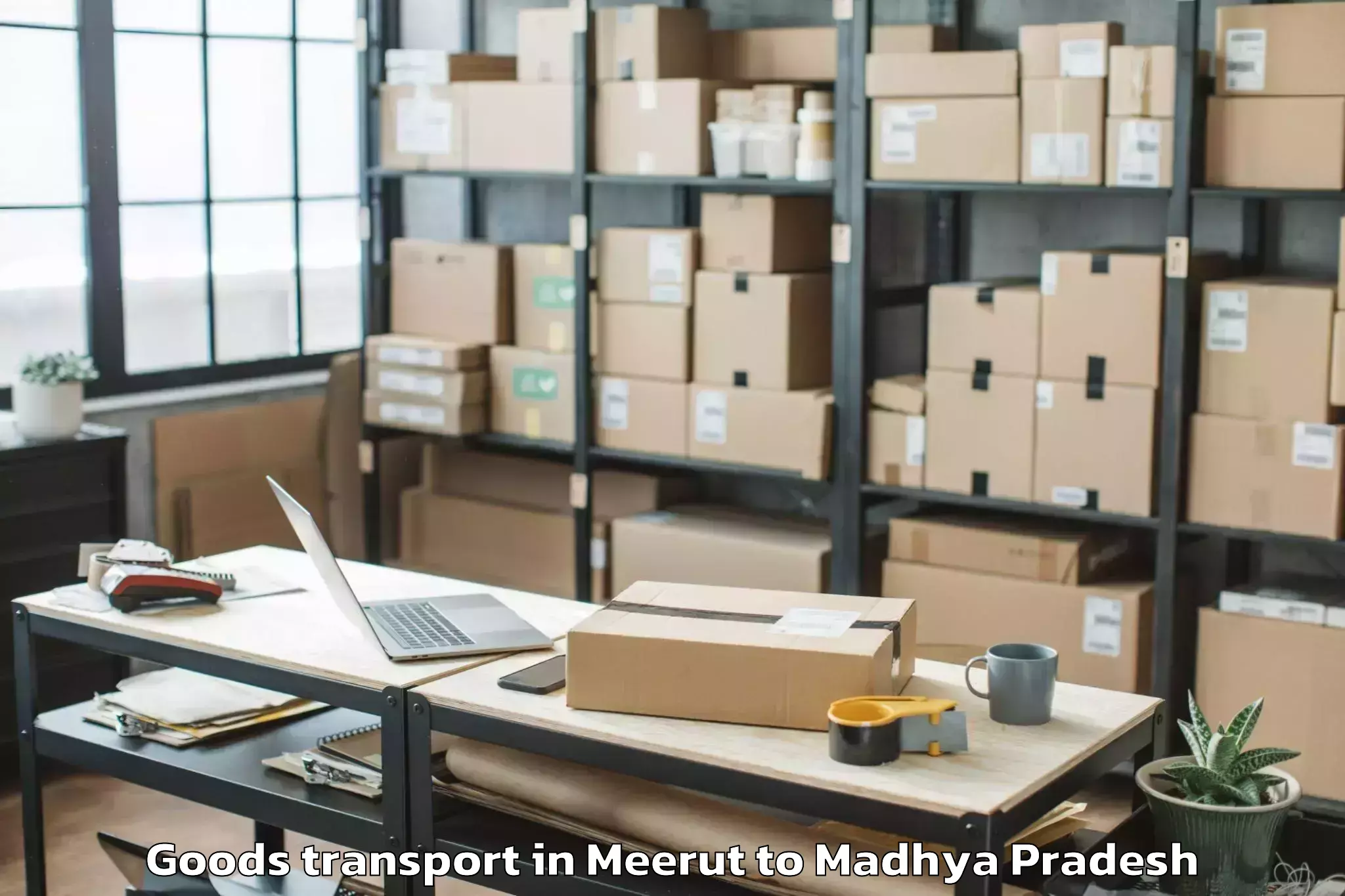 Expert Meerut to Gwalior Airport Gwl Goods Transport